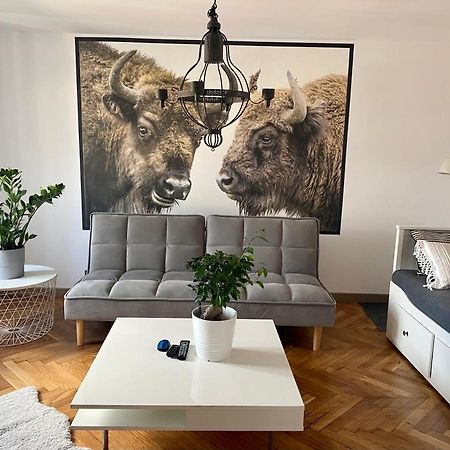 Apartamenty Pod Zabami Nr 2 Bílsko-Bělá Exteriér fotografie
