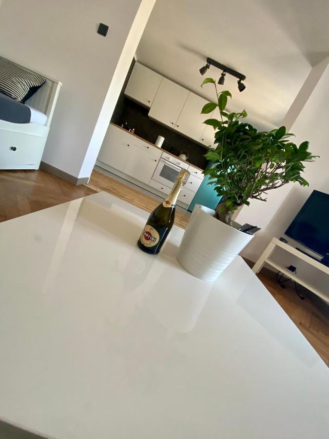 Apartamenty Pod Zabami Nr 2 Bílsko-Bělá Exteriér fotografie