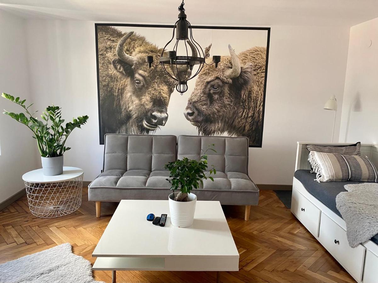 Apartamenty Pod Zabami Nr 2 Bílsko-Bělá Exteriér fotografie